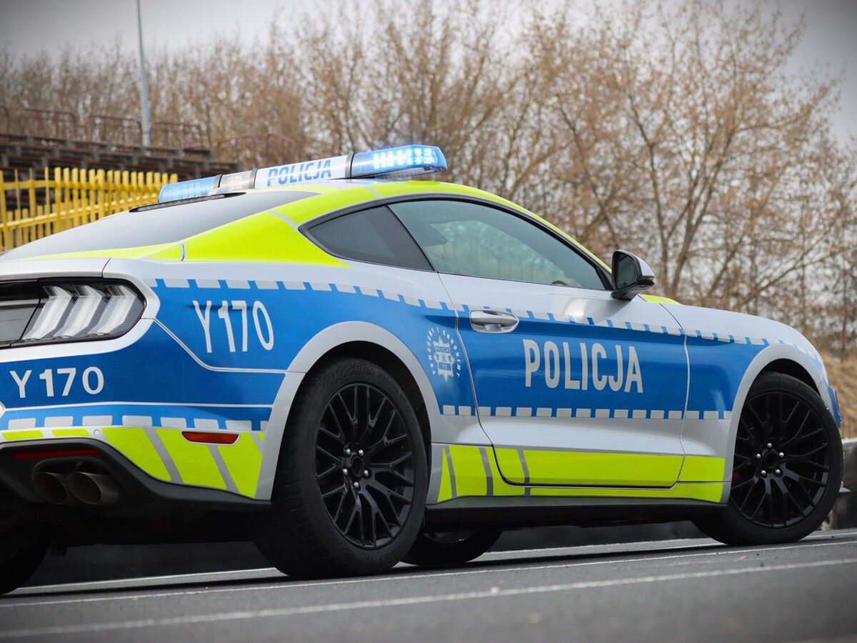 Mustang