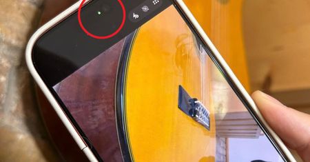 Widzisz zieloną kropkę na telefonie? To ważny sygnał