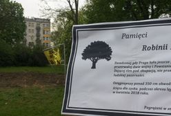 Mieszkańcy Pragi żegnają ścięte drzewo. Przygotowali nekrolog