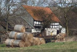 Masz w planach porządki na działce? Możesz dostać karę