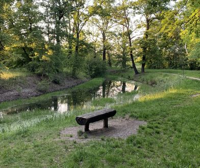 Wrocław. Będziemy mieć swój Central Park. Kępa Mieszczańska zmieni swoje oblicze