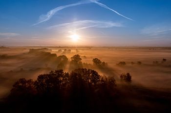 Wrocław: Dawna oczyszczalnia ścieków rezerwatem?