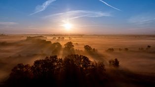 Wrocław: Dawna oczyszczalnia ścieków rezerwatem?