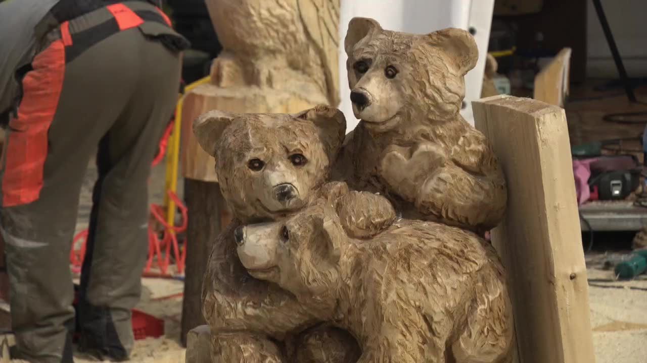 Mistrzowie pił i dłut rzeźbili w drewnie na Poznań Wood Festival