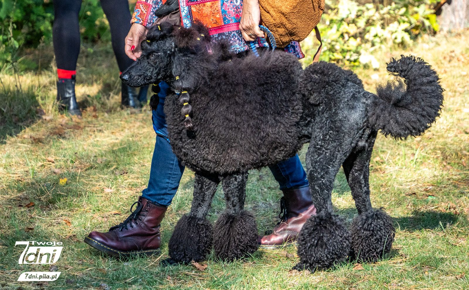 zdjęcie