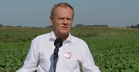 Tusk o obniżce stóp: Nieprzypadkowo tuż przed wyborami. Miejmy nadzieję, że nie zapłacimy za to zbyt wysokiej ceny