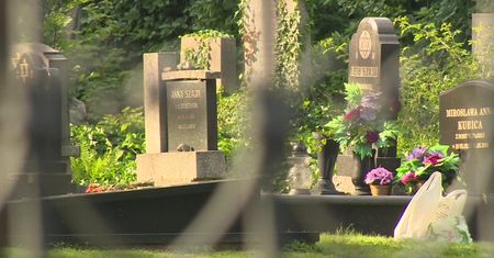 Nieznani sprawcy zdewastowali blisko 70 nagrobków na cmentarzu żydowskim w Bielsku-Białej.