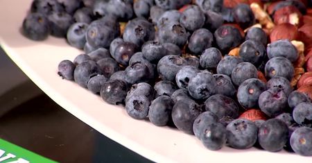 Zaczyna się sezon na pyszne i zdrowe borówki. Jakie mają właściwości?