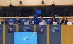 Sprawa Izabeli z Pszczyny w Parlamencie Europejskim