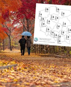 Pogoda długoterminowa na wrzesień. Przed nami złota jesień? IMGW tłumaczy