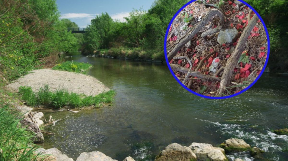 Plastikowe płatki róż w rzece i na brzegu. Sprawę bada policja