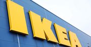 IKEA kończy przed czasem współpracę z agencją Adama Hofmana