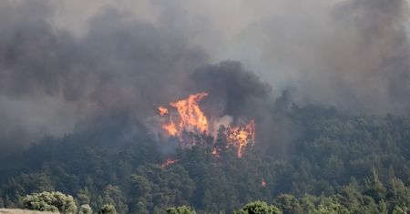 Piekło w greckim raju. Ogromny pożar na wyspie Rodos