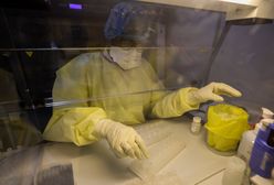 Koronawirus. Wielka Brytania z obiecującymi wynikami szczepionki. Wzmacnia odporność!