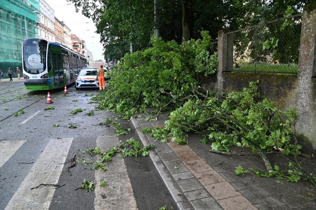 Niedzielna burza w Szczecinie