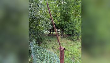 Boli od patrzenia. Pokazali, na co nadziała się 65-latka