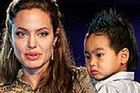 Brad Pitt i Angelina Jolie chcą starsze dziecko