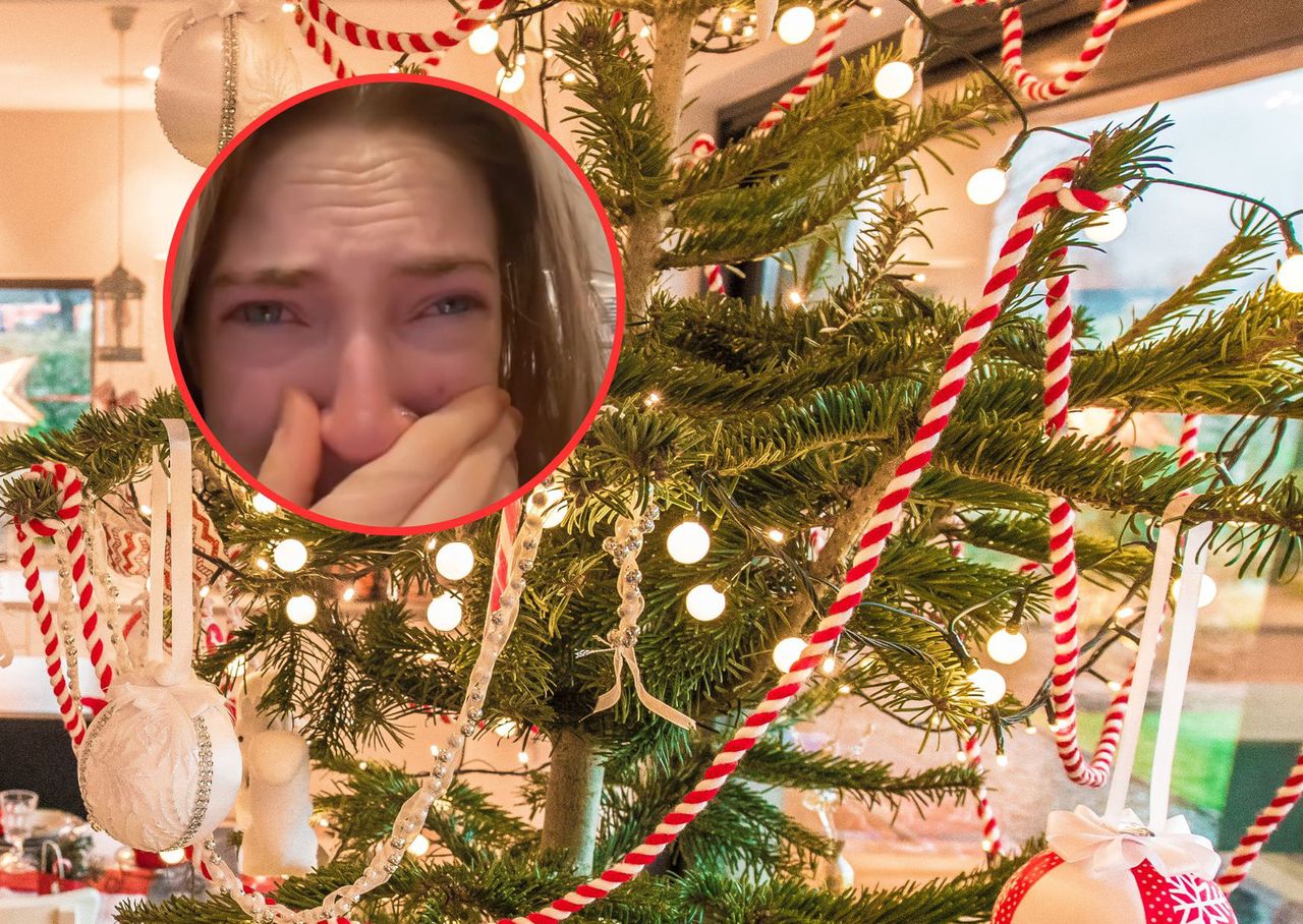 Woman finds Christmas tree teeming with spiders, turns festive joy into horror