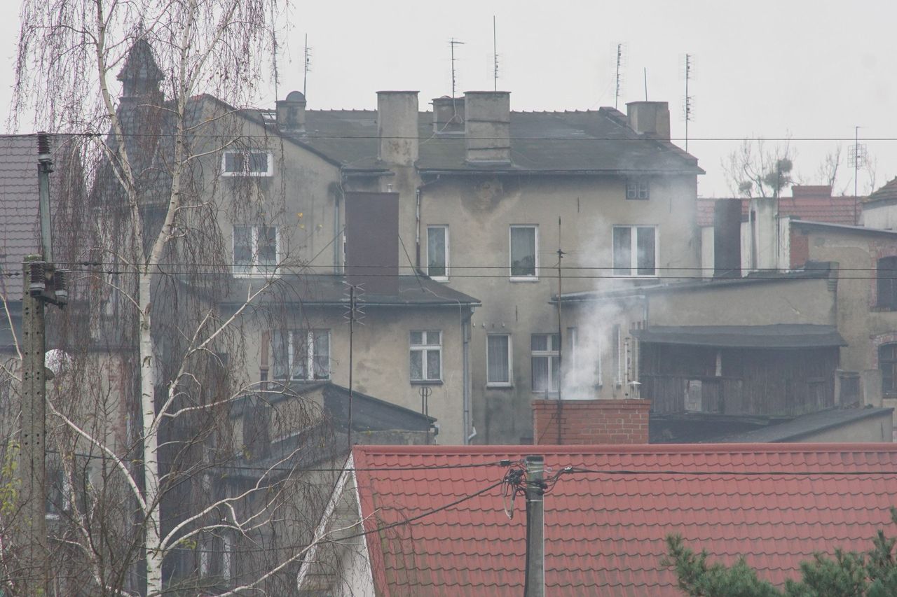 Dotacje do kotłów gazowych w programie Czyste Powietrze. Rusza nabór