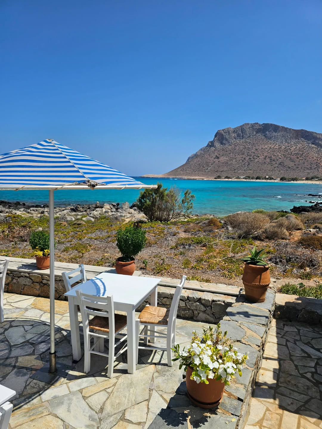 Greckie wakacje Skrzyneckiej