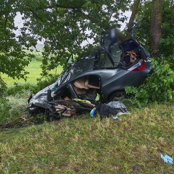 BMW uderzyło w drzewo. 24-latek w stanie zagrażającym życiu trafił do szpitala