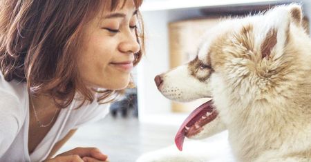 Tips for Smooth &amp; Silky Dog Fur