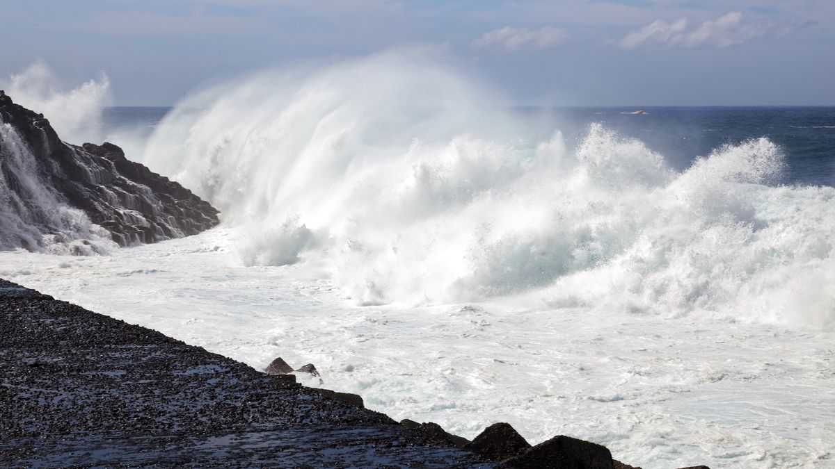 Massive wave hitting the rocky shore in Tenerife,Image: 737121873, License: Royalty-free, Restrictions: , Model Release: no, Credit line: Phil Bird / imageBROKER / Forum
Phil Bird / imageBROKER / Forum
animal, Atlantic Ocean, beach, big, Bird, bird photography, blue, breaker, Canary, Canary Island, coastline, colorful, deserted, different, diverse, Europe, Finch, foam, handrail, hit, horizontal, huge, island, lake, lakeside, landscape, metal, natural environment, nature, ocean, Passerine, rock, scene, Scenic, sea, seascape, seashore, Serin, Songbird, Southern Europe, Spain, Spanish, spray, stone, Tenerife, tide, volcanic, water, waters, wave, wild animal, wildlife, wildlife photography
