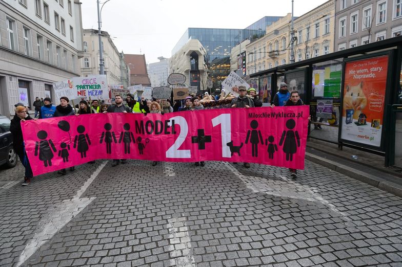 Przez Poznań przeszedł Marsz Równości. Hasło manifestacji: Solidarność naszą bronią