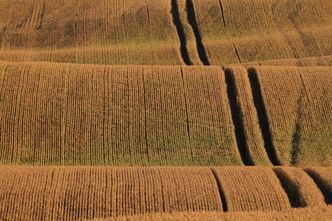Spadek rubla. Eksporterzy rolni z Białorusi stracili na tym 360 mln dolarów