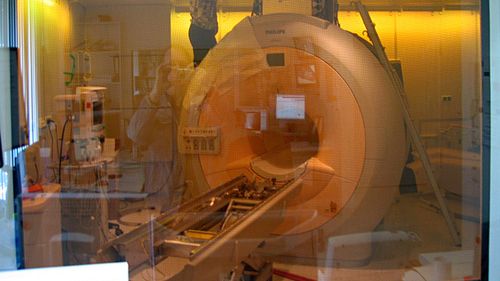 Rezonans magnetyczny potwierdza, że akupunktura działa 1