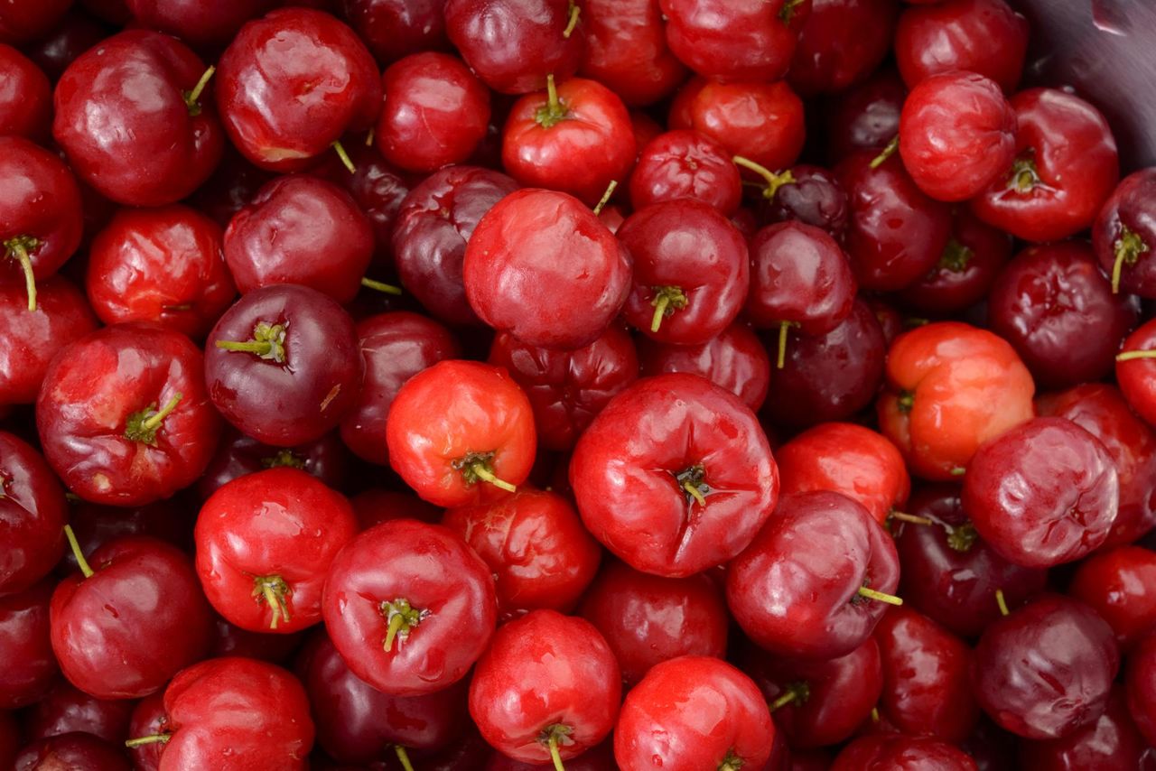 "Wiśnie z Barbadosu" to karaibski skarb. Mają 30-krotnie więcej witaminy C niż cytryna