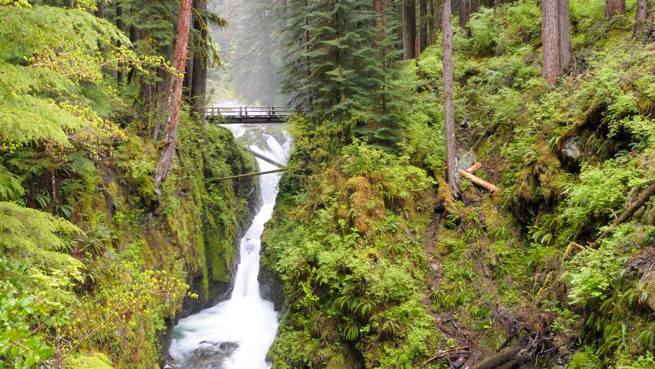 Wodospad Sol Duc Falls