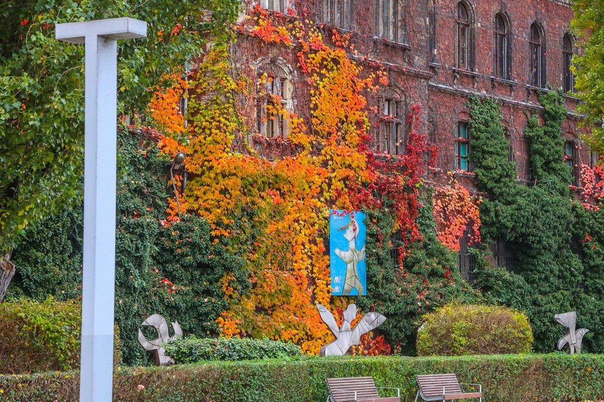 Muzeum Narodowe we Wrocławiu w jesiennej odsłonie - zieleń, żółć, czerwień - jest pięknie, kolorowo