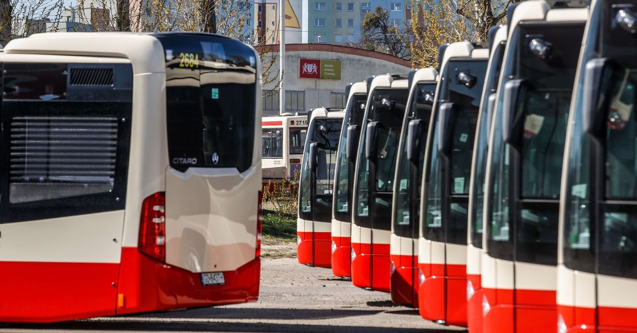 Gdańsk: Nowy operator dołącza do sieci komunikacyjnej miasta