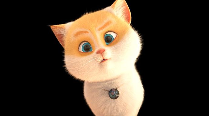 Sekretny świat kotów