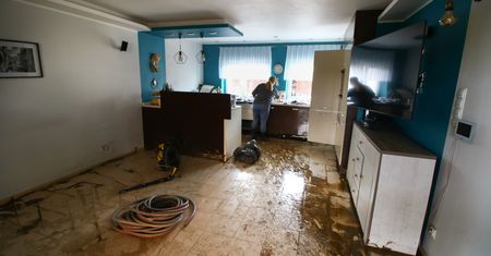"Pojawią się kolonie". Nowe zagrożenie w zalanych domach i mieszkaniach