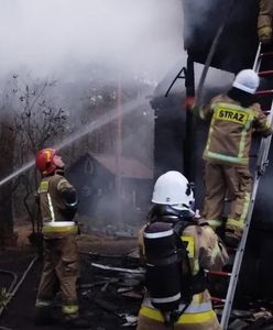 Pożar domku letniskowego. Wydobyli ciała z pogorzeliska