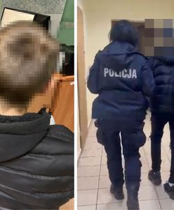 13-latka brutalnie pobita w lesie. Samosąd za koleżankę