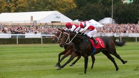 Ogromny sukces syna Piotra Kraśki. Dostał powołanie do reprezentacji Polski