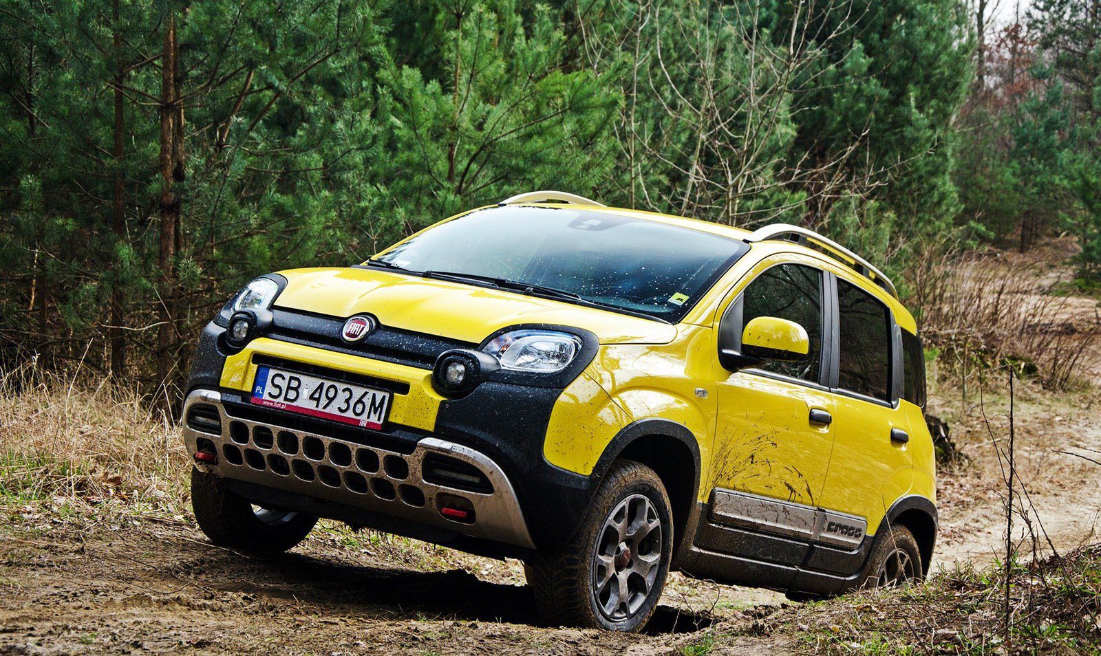 Pandę 4x4 sprzedawano pod różnymi nazwami - ta nazywa się Cross
