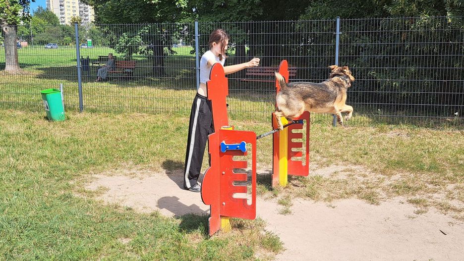 Psi park przy ul. Maratońskiej na którym chętnie czas spędza Zosia ze swoim siedmioletnim przyjacielem Hepim adoptowanym ze schroniska.