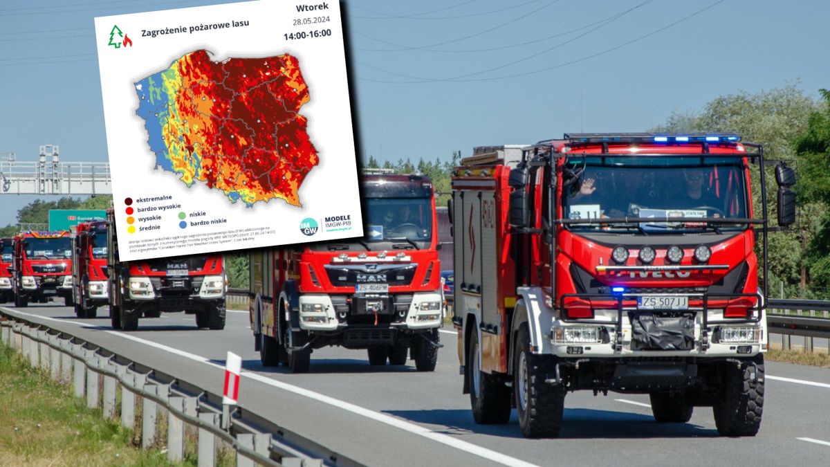 Leśnicy biją na alarm w sprawie pożarów. "Komunikaty budzą trwogę"