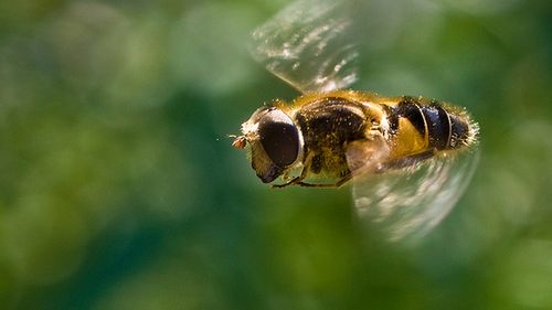Niezwyczajny żel zdobywa uznanie Billa i Melindy Gatesów 1