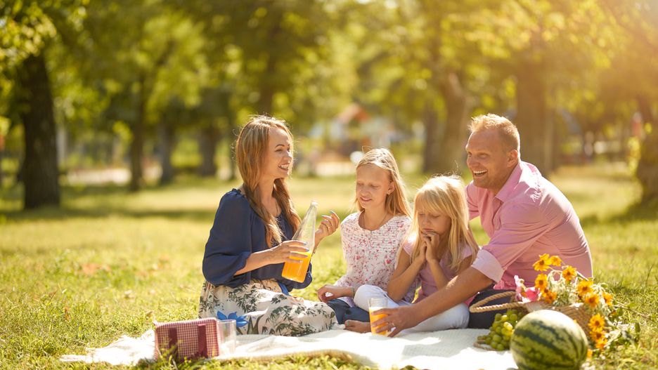 Happy family with smiles picnic in the park on a sunny day
Happy family with smiles picnic in the park on a sunny day
OstapenkoAnton
day, sunny, park, picnic, fun, family, mother, smiling, summer, father, happy, people, parents, joy, young, leisure, girl, having, woman, little, adult, grass, together, nature, cute, sun, outside, love, healthy, cheerful, outdoor, spring, man, female, daughter, green, child, mom, beautiful, son, lifestyle, enjoying, food, background, dad, togetherness, activity, parenthood, meadow, warm