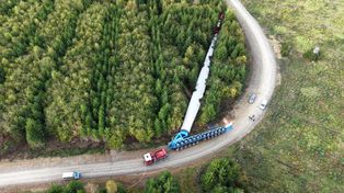 Katastrofa w Niemczech. Gigantyczna łopata wiatraka runęła w lesie