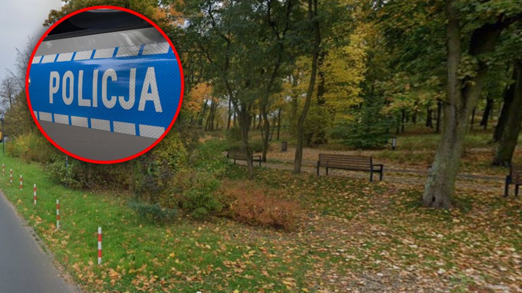 Próba morderstwa w toruńskim parku 