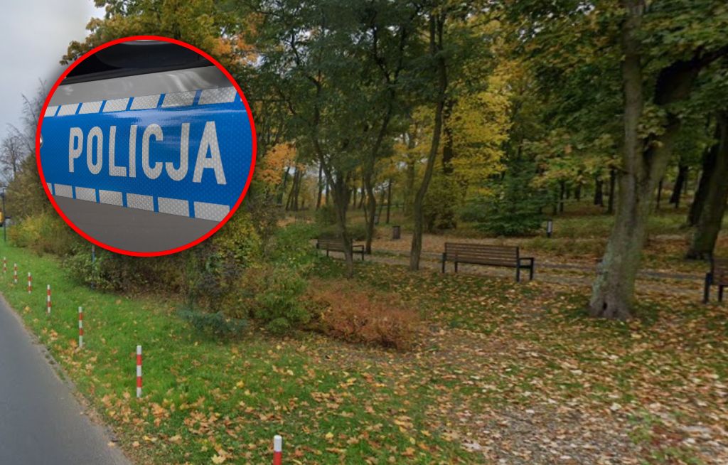 Próba morderstwa w toruńskim parku 