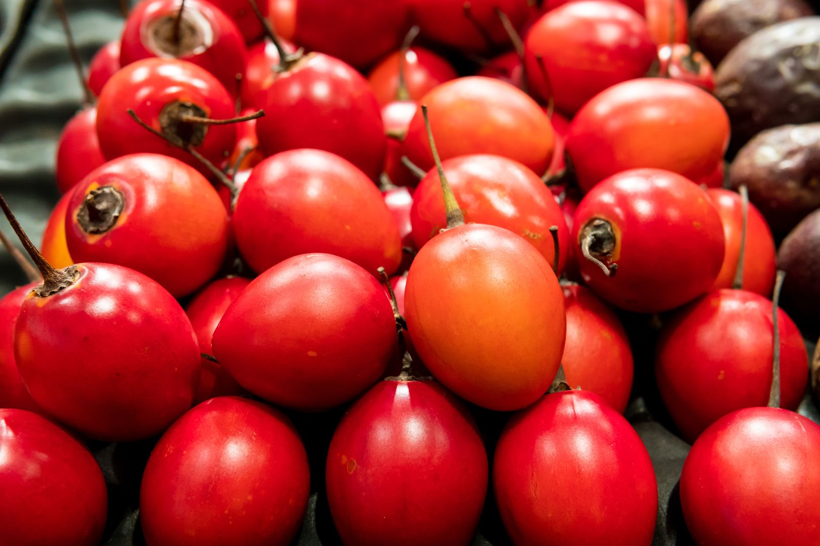 Tamarillo