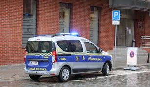 Warszawa. Zaginiona siostrzyczka. Strażnicy pomogli odnaleźć zgubę