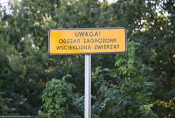 20 ognisk wścieklizny. Koty na przymusowe szczepienie